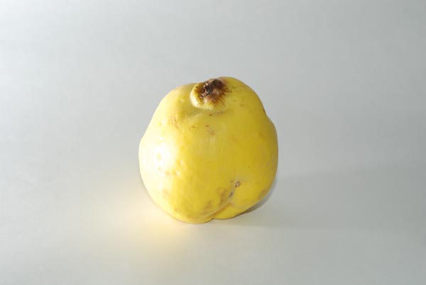 Железное яблоко - Айва